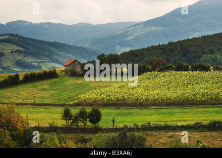 Campagna serba e montagne, vicino a Valjevo, West Serbia Foto Stock