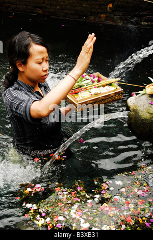 Signora la balneazione e pregando nel santo molle di Tirta Empul, Pura Tirta Empul(tempio), Tampak Siring ,area di Ubud,Bali, Indonesia Foto Stock