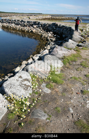 Boulder Muksalma diga sulle isole Solovetsky nel Mar Bianco, Russia Foto Stock