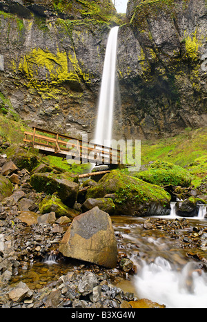 Angolo inferiore di Elowah cade nella Columbia River Gorge Foto Stock