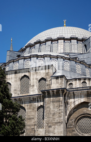 La Moschea di Suleymaniye, Istanbul, Turchia Foto Stock