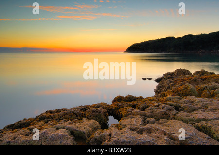 Il Rocky foreshore di Elberry Cove vicino Broadsands Paignton Devon meridionale di sunrise Foto Stock