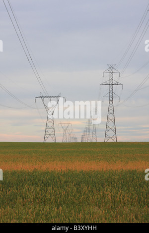 Tensione alta tralicci, area Beiseker, Alberta Foto Stock