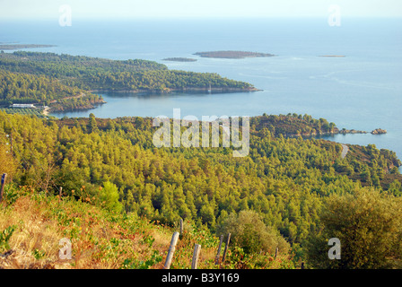 West coast baie, Sithonia Penisola Calcidica, Macedonia centrale, Grecia Foto Stock