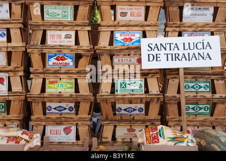 Collezione di scatole di pomodoro con diverse etichette al Fiesta del Pino su Gran Canaria. Foto Stock