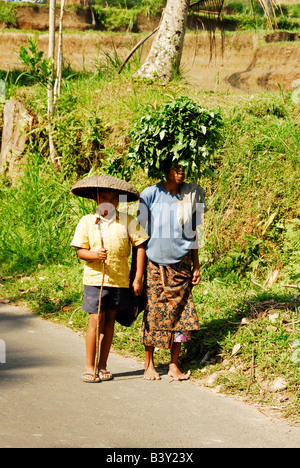 Bali aga minoranza etnica , bali aga la vita del villaggio , le donne che trasportano merci sul suo capo , julah, bali aga village , north bali Foto Stock