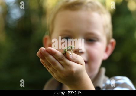 Ragazzo giovane azienda piccola raganella Foto Stock