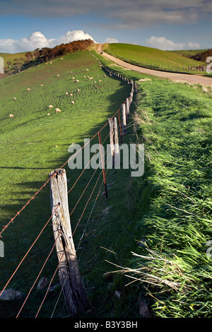 Myponga Beach Road Foto Stock