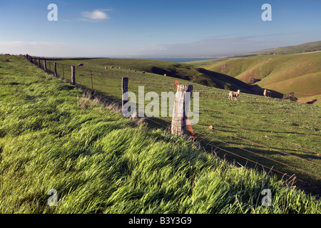 Myponga Fleurieu Peninsula South Australia Foto Stock