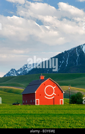 Fienile con Wallowa montagne vicino Joseph Oregon Foto Stock