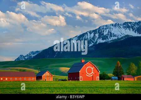 Fienile con Wallowa montagne vicino Joseph Oregon Foto Stock