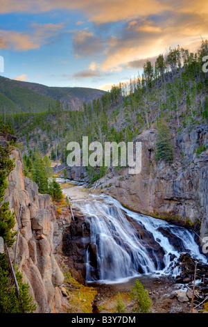 Gibbone cade a sunrise il Parco Nazionale di Yellowstone WY Foto Stock