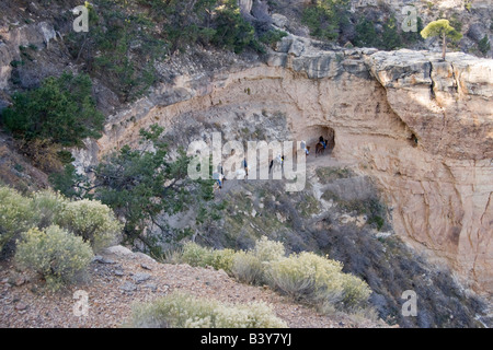 AZ, Arizona, il Parco Nazionale del Grand Canyon, South Rim, muli e piloti in Bright Angel Trail Foto Stock