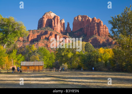 AZ, Arizona, Sedona, Luna Crescente Area ricreativa, Red Rock Crossing; Cattedrale Rock e alberi con Autunno a colori Foto Stock