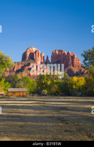 AZ, Arizona, Sedona, Luna Crescente Area ricreativa, Red Rock Crossing; Cattedrale Rock e alberi con Autunno a colori Foto Stock