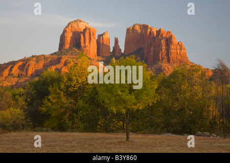 AZ, Arizona, Sedona, Luna Crescente Area ricreativa, Red Rock Crossing, Cattedrale Rock e alberi con Autunno a colori Foto Stock