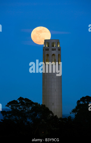 Torre Coit golden illuminato da luci del tramonto Foto Stock