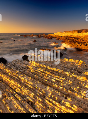 Inclinato letti di arenaria a Montana de Oro stato Parco California Foto Stock