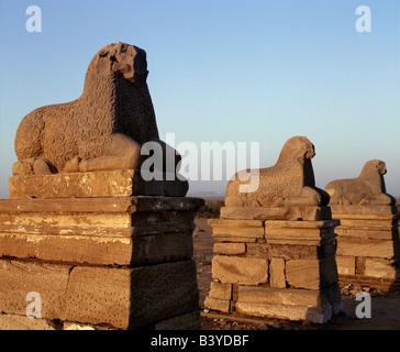 Sudan, Khartoum, Naga. Immersa in un bagno di mattina presto la luce solare, una colonna di montoni rappresentano Amon fuori le rovine di una delle quattro tempio Foto Stock