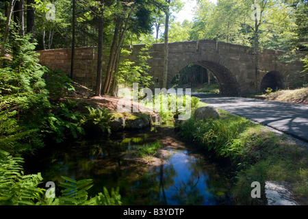 Carrello di pietra di un ponte stradale sul Park Loop Road, Parco Nazionale di Acadia, Maine Foto Stock