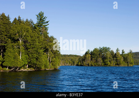 Il litorale sul rebbio Pond Maine USA Foto Stock