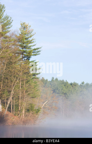 La mattina presto in primavera su Walden Pond State Reservation, concordia, Massachussets. Foto Stock