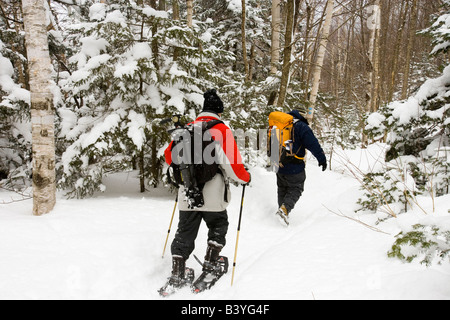 Snowshoers nella neve fresca sul Monte Willard in le White Mountains del New Hampshire. Crawford tacca parco dello stato. Foto Stock