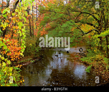 Stati Uniti, New York. Tire Swing pende dal lembo di albero su Brant Creek in mezzo a colori dell'autunno. Foto Stock
