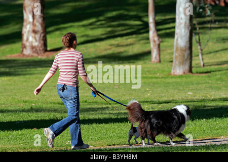Passeggiando per i cani Foto Stock