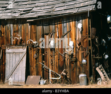 Stati Uniti d'America, Oregon, Harney County. Vecchia livrea stalla fienile con teschio di animale decorazioni. Foto Stock