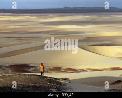 La Namibia, Kunene, Skeleton Coast Park. Bellissime dune di sabbia intervallati con zone di ghiaia grazia del paesaggio stark in una concessione privata della Skeleton Coast Park tra Purros e l'Oceano Atlantico. Mattina in questa area sono raramente libera di mare di nebbia o di nebbia la cui umidità è vitale per la sopravvivenza delle piante e deserto-abitazione animali. Foto Stock