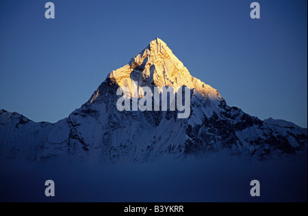 Il Nepal, Solo-Khumbu, Dzonglha. Ama Dablam (North Face) immerso nella luce della sera, visto da Dzonglha. Ama Dablam è uno del più caratteristico rivestimento sulle montagne della valle Khumba. A 6856m o 22,494ft, non è affatto la più alta montagna della zona, ma è uno dei più suggestivi in apparenza. Salito per la prima volta nel 1961 da Gill, Bischop, Ward e romanzi. Foto Stock