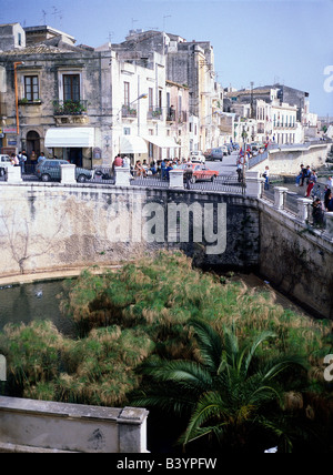 Geografia / viaggio, Italia, Sicilia, Siracusa, fonte dell'Aretusa, approvvigionamento di acqua potabile dal 8th secolo a.C., Europa, colonia greca, antichità, Magna Grecia, Siracusa, Syrakusai, conquistata in 2nd guerra punica dai Romani, 205 a.C., fondata 8th a.C., storica, storica, antica, storica, acqua potabile, acqua potabile, approvvigionamento idrico, papiro, font, fonte, fonte, fonte, fonte, fonte, Patrimonio dell'umanità dell'UNESCO, persone, mondo antico, Foto Stock