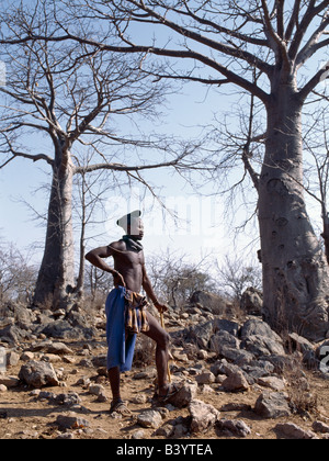 La Namibia, il Kaokoland, Epupa. Un Himba l uomo sta nel terreno roccioso tra alberi di baobab. Egli ha la pettinatura tradizionale di un uomo sposato, noto come ondumbu. I capelli sono impilati sulla corona della testa e coperto con un panno. Anni fa, la sua davanti a pieghe e indumenti posteriore sarebbe stata realizzata in cuoio. Himba di entrambi i sessi ombwari usura - pesanti, round Collane realizzate con perline bianco.Gli Himba sono Herero-parlando Bantu nomadi che vivono nel duro, secco ma fortemente bellissimo paesaggio del nord-ovest remota Namibia. Foto Stock