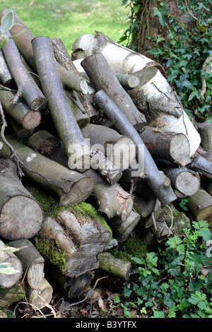 Rotoli tagliati e memorizzati durante la stagione invernale vengono essiccate per una stagione in situ e fornire preziosi habitat GARDEN Foto Stock