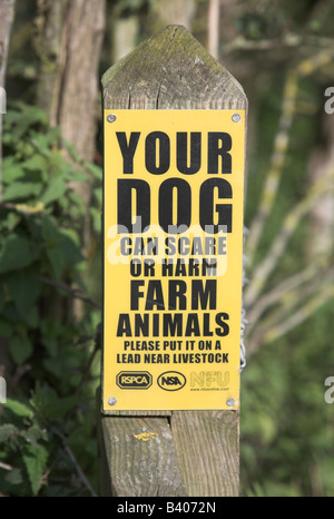 Il vostro cane può spaventare o danneggiare gli animali della fattoria cartello giallo Foto Stock