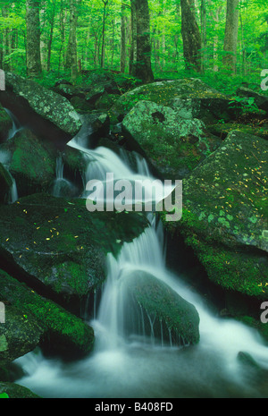 La cascata di Great Smoky Mountain NP USA Foto Stock