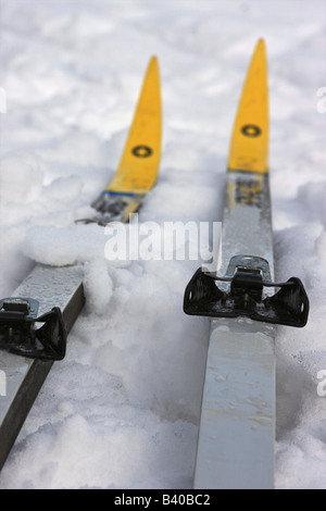 Una coppia di sci di fondo sci in appoggio sulla neve. Foto Stock