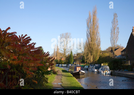 Una vista di Narrowboats ormeggiato sul Macclesfield Canal a Marple nei pressi di Stockport, Cheshire Foto Stock