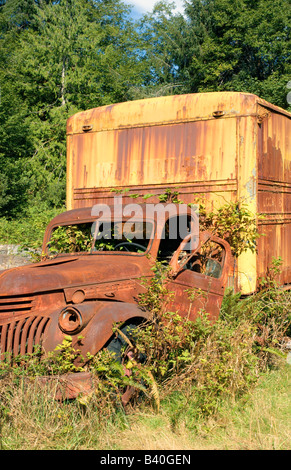 Un vecchio abbandonato lo spostamento Van ricoperta con piante e viti Foto Stock