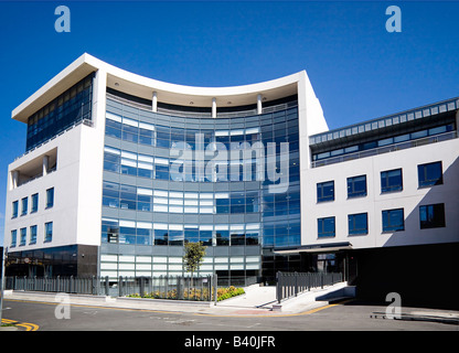 Armonia negli uffici di riga Dublino Irlanda Foto Stock