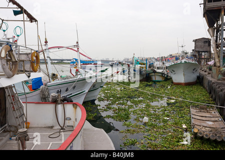 Barche da pesca in porto, Donggang, Pingtung, Taiwan, Repubblica della Cina (ROC) Foto Stock