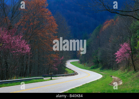 Winding Road, Appalachian Mts Carolina del Nord STATI UNITI D'AMERICA Foto Stock