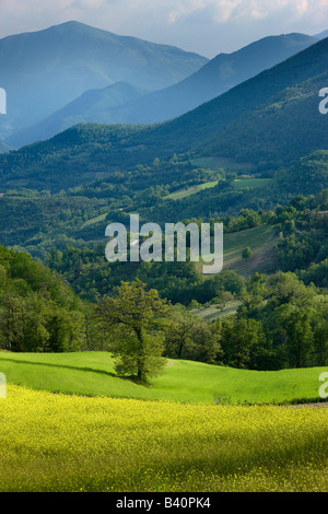 La primavera in Valnerina vicino a Meggiano, Umbria, Italia Foto Stock