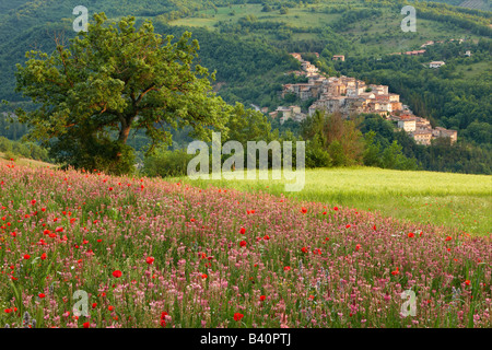 Fiori di Primavera in crescita in Valnerina con il villaggio di Preci al di là, Umbria, Italia Foto Stock