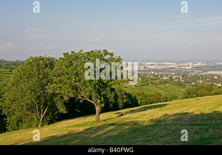 Vienna visto dal Schenkenberg vicino a Grinzing Vienna Austria Foto Stock