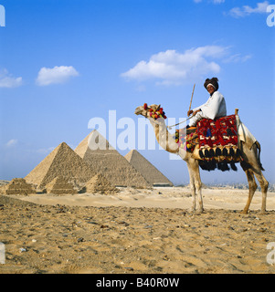 Cammello e guida nella parte anteriore delle piramidi, Egitto, Nord Africa. Foto Stock