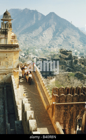 Gli elefanti di prendere i turisti su di una ripida pendenza di entrata per visitare Ambra Palace, Rajasthan, a Jaipur, India Foto Stock