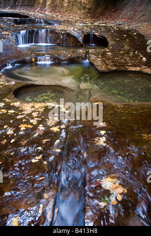 La fermata della metropolitana lungo la forcella di sinistra del fiume vergine in Zion National Park nello Utah in autunno Foto Stock