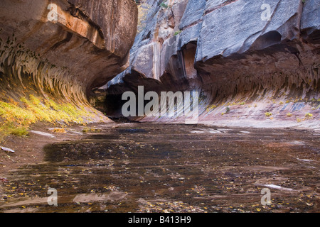 La fermata della metropolitana lungo la forcella di sinistra del fiume vergine in Zion National Park nello Utah in autunno Foto Stock